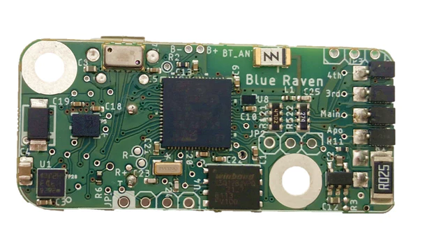 Blue Raven - Image 2
